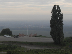 Marche dans les vignobles secteur Riquewihr   Photos : Christine. Gisèle. Thérèse. Claude .Jean Francois . Jean Pierre